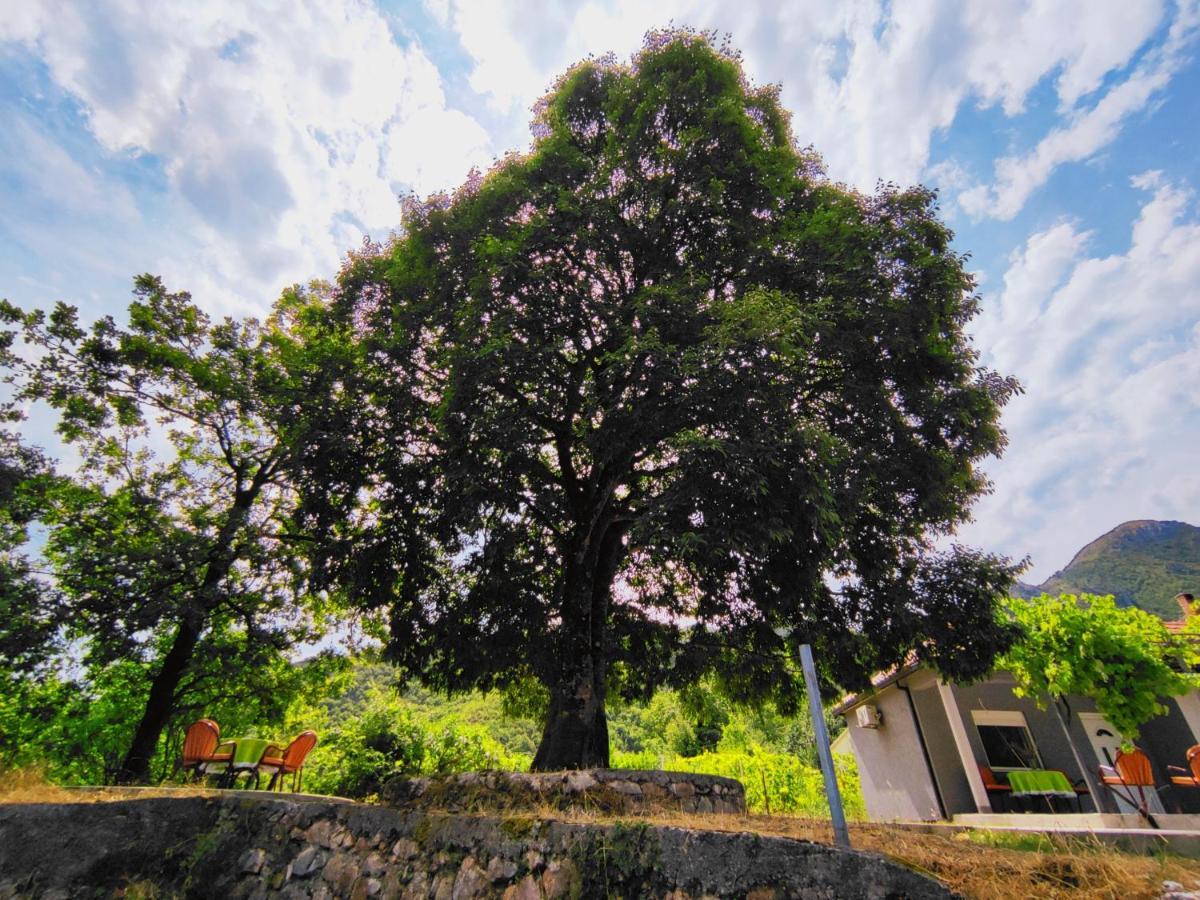 Villa Celtis Shade House Virpazar Exterior foto