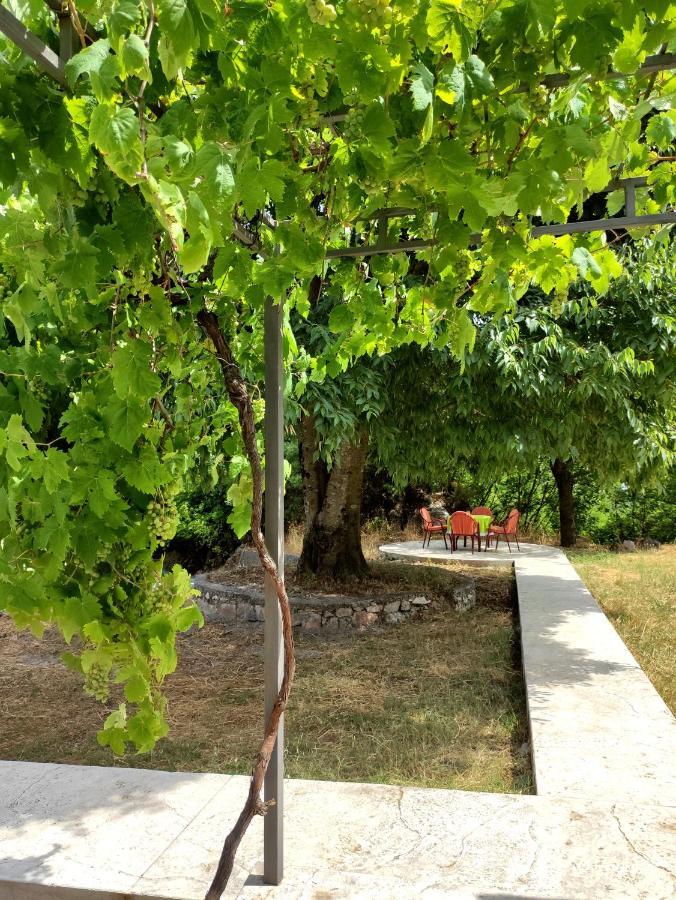 Villa Celtis Shade House Virpazar Exterior foto